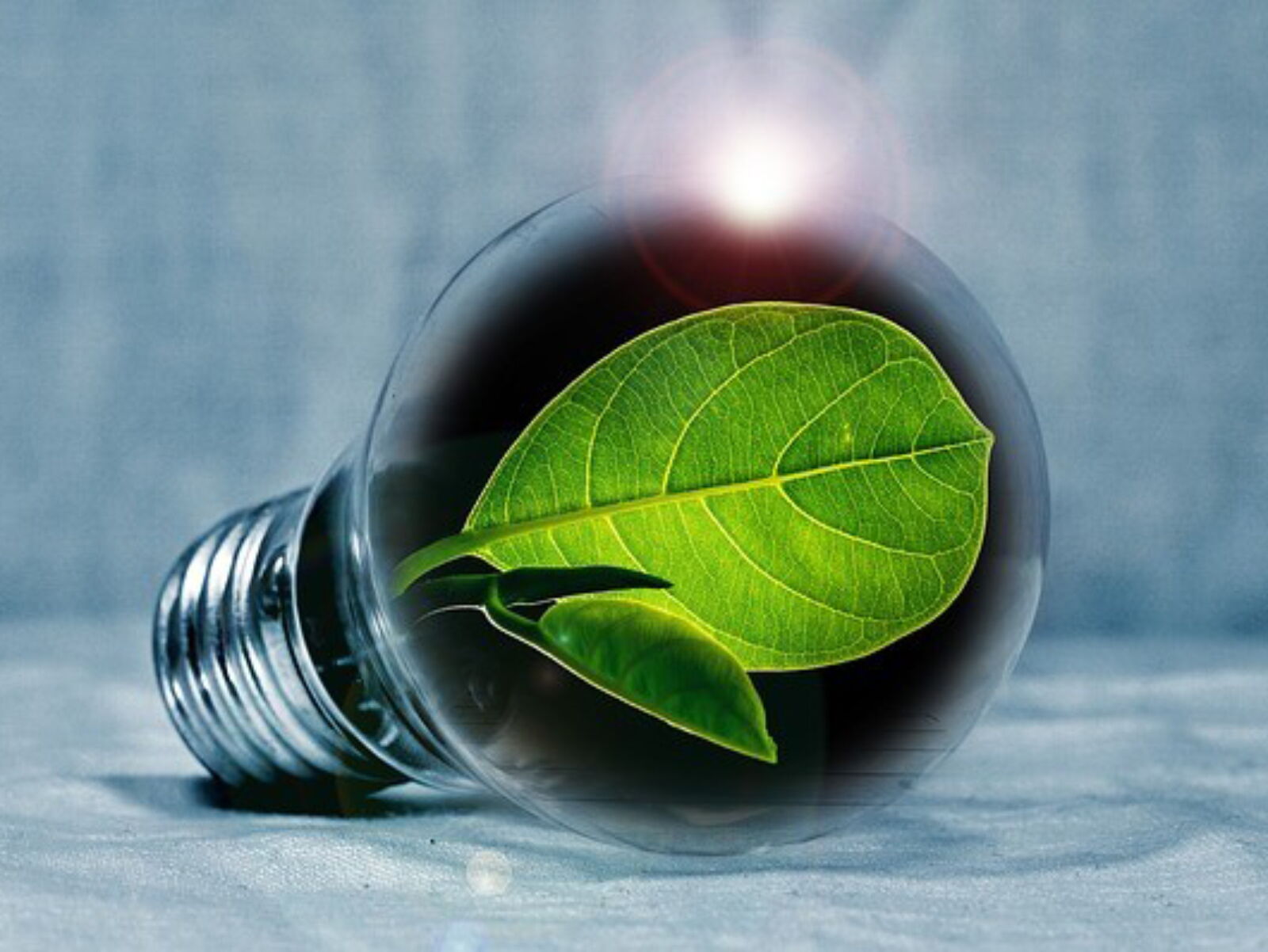 Maßnahmen zur verbesserten Energieeffizienz im Unternehmen (1021) | Vorschaubild